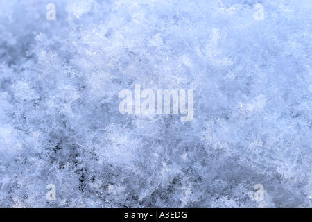 Schnee-Array mit hoher Vergrößerung winter Hintergrund. Stockfoto