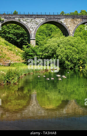 Großbritannien, Derbyshire, Peak District, Monsal Dale, Grabstein Viadukt & Fluss Wye Stockfoto