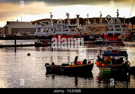 Fischerboote im Hafen von Howth, County Donegal. Es ist der größte Fischereihafen auf der Insel Irland. Stockfoto