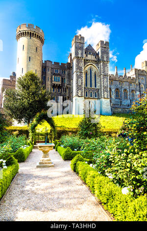 Rosengarten und Arundel Castle, Arundel, Großbritannien Stockfoto