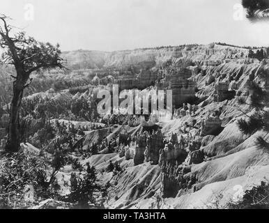 Blick auf die Landschaft des Bryce Canyon, einem natürlichen "Amphitheater" in Utah. Stockfoto