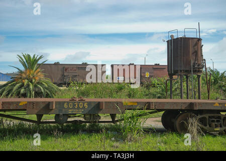 Stillgelegte Eisenbahn Reisebusse, Motoren und Lager in der ehemaligen Artigas Hauptbahnhof in Montevideo, Uruguay, Südamerika Stockfoto