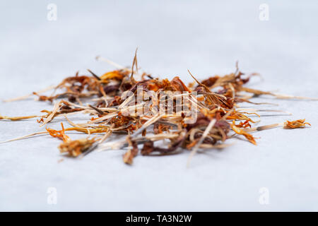 Stapel der Ringelblume trockene Samen (Mexikanische Ringelblume, Aztec Ringelblume, afrikanische Ringelblume) auf farbigen Hintergrund. Tagetes erecta. Daisy-Familie. Stockfoto