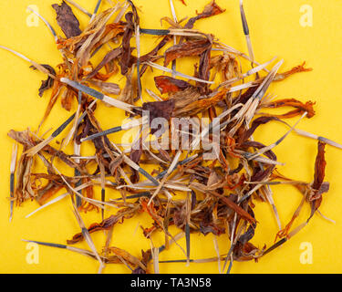 Stapel der Ringelblume trockene Samen (Mexikanische Ringelblume, Aztec Ringelblume, afrikanische Ringelblume) auf farbigen Hintergrund. Tagetes erecta. Daisy-Familie. Stockfoto