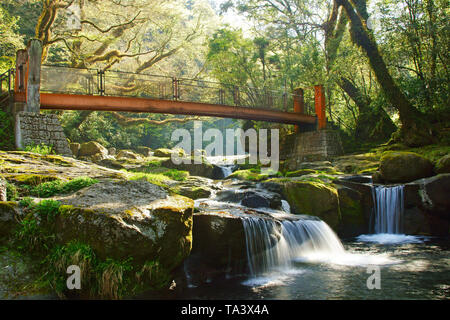 Frisches Grün Kikuchi Schlucht, Präfektur Kumamoto, Japan Stockfoto