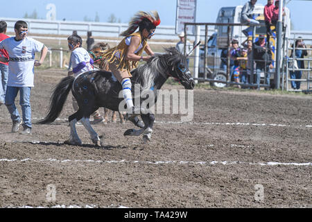 Kehewin erste Nationen indischen Relais (Little Braves) Rennen, in Bonnyville Alberta Kanada statt Stockfoto