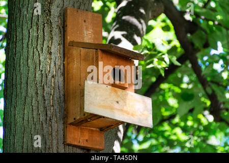 Braun Holz Vogelhaus auf einem Baum in Forest Park an einem Frühlingstag, hand Holz Schutz für Vögel den Winter zu verbringen. Holz- leer Plank für Text Stockfoto