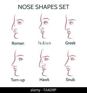 Main Nase Formen. Kontur menschliche Gesichter mit verschiedenen Nasen. Vector Illustration. Stock Vektor