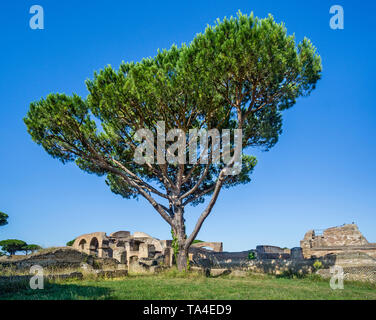 Haus der Wagenlenker (Caseggiato Degli Aurighi) an der archäologischen Stätte der römischen Siedlung von Ostia Antica, der alte Hafen der Cit Stockfoto