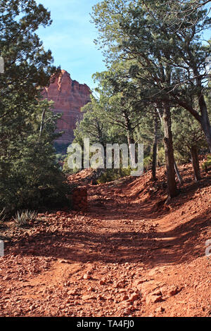 Die roten Felsen, Schmutz Weg gesäumt von immergrünen Bäumen und Sträuchern auf der Brins Mesa Trail führt zu einem roten Rock Formation in der Ferne in Sedona, Ariz Stockfoto