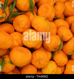 Orange Frucht Anzeige an Farmers Market Stockfoto