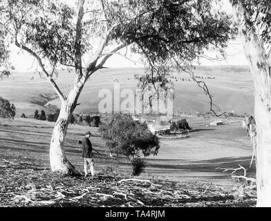 Schafe station Homestead in Monaro, NSW, Australien Stockfoto