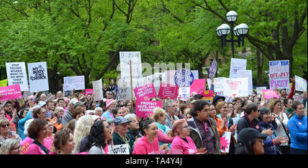 ANN ARBOR, MI/USA, 21. Mai 2019: Demonstranten ihre Schilder Anzeige an die Ann Arbor stoppen die Verbote Protest durch geplante Elternschaft organisiert. Stockfoto