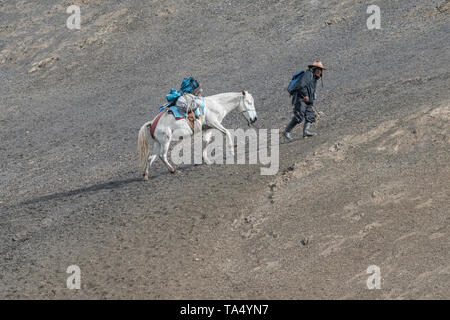 Eine quechua Mann arbeitet als arriero einem voll beladenen Packesel führt eine steile Steigung in den Anden im Süden Perus. Stockfoto