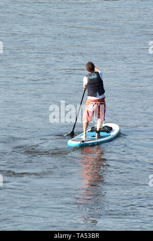 Stand up Paddeln auf der Elbe bei Magdeburg Stockfoto