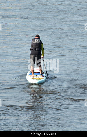 Stand up Paddeln auf der Elbe bei Magdeburg Stockfoto
