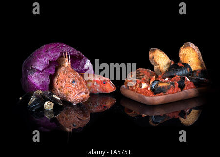 Fischsuppe, roher Fisch, Drachenköpfe, rote Meerbarbe, Krabben auf einem schwarzen Hintergrund mit Reflexionen Stockfoto