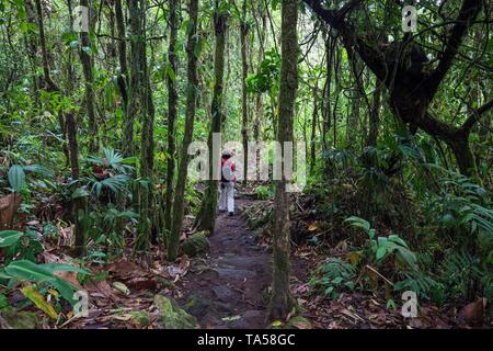Weibliche Wanderer auf einem Wanderweg durch tropische Vegetation im Regenwald, Nationalpark Vulkan Arenal, Parque Nacional Volcan Arenal, Provinz Stockfoto