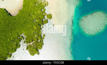 Tropische Insel mit Mangroven und türkisfarbenen Lagunen auf einem Korallenriff, Ansicht von oben. Fraser Island, marine Honda Bay, Philippinen. Atolle mit Lagunen und weißem Sand. Stockfoto