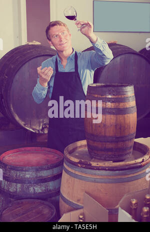 Attraktive Verkäufer Mann mit Schürze, Glas Wein im Weinkeller zu versuchen Stockfoto