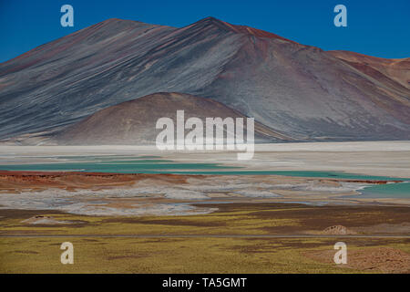 Spektakuläre rote Steine und Talar salar in Atacama Stockfoto