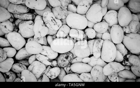 Steine, Kiesel Hintergrund Textur / Weißer Stein Kiesel auf dem Boden im Garten - Natur rock Hintergrund einfarbig Stockfoto