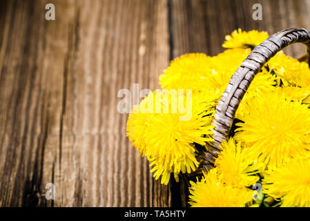 Blumenstrauß aus Löwenzahn Blumen, gelbe Wildblumen auf hölzernen Hintergrund Stockfoto