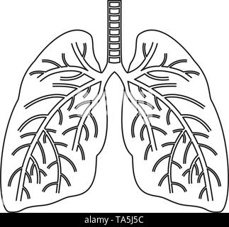 Vektor menschliche Lungen flachbild Symbol auf weißem Hintergrund. Lunge organ Anatomie Symbol für Gesundheit und medizinische Illustrationen Stock Vektor