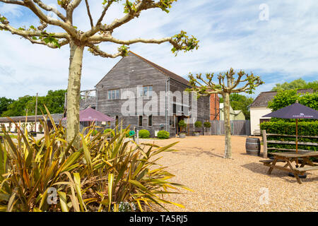 Chapel Down Weinberg Weingut Restaurant, kleine Hythe Road Tenterden, Kent, Großbritannien Stockfoto