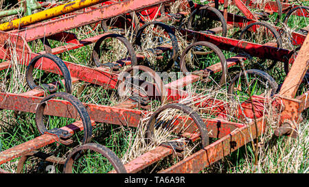 Nahaufnahme von einer Feder Zahn Anhänger eines landwirtschaftlichen Maschinen, alt, rostig und Verlassenen, kongskilde triltand Anbauer, sonniger Frühlingstag an der Frucht Stockfoto