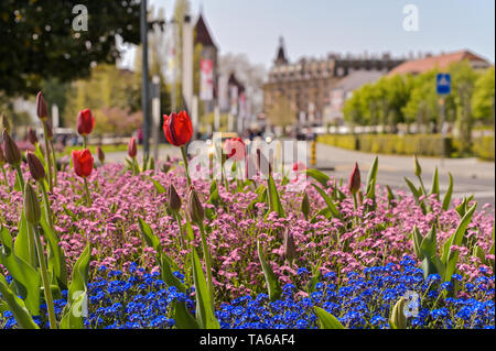 Straße Lausanne im Frühjahr und Blumenbeeten. Reisen in Europa und rorism Stockfoto