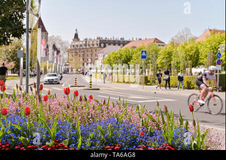 Straße Lausanne im Frühjahr und Blumenbeeten. Reisen in Europa und rorism Stockfoto