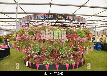 Szenen aus dem 2019 rhs Chelsea Flower Show in London, England Stockfoto