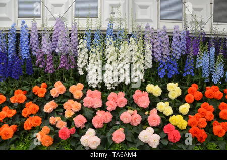 Szenen aus dem 2019 rhs Chelsea Flower Show in London, England Stockfoto