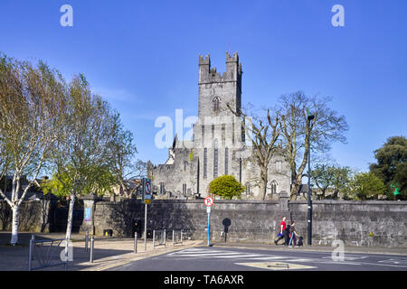 Die St. Mary's Cathedral in Limerick, Irland Stockfoto