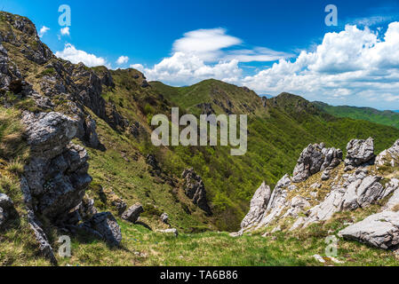 Frühling im Central Balkan National Park in Bulgarien, Kozya Stena (Ziege) finden Stockfoto