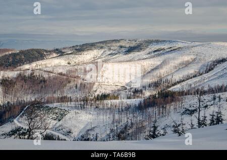 Schönen Winter märchenhafte Landschaft. Die schneebedeckten Bäumen und Pisten in den Polnischen bergen. Stockfoto