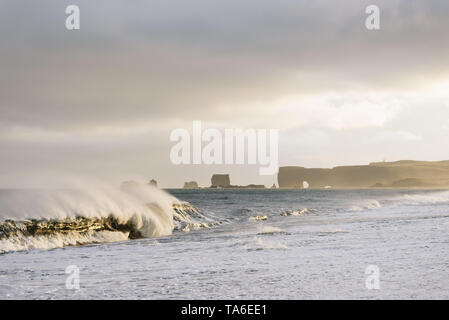 Blick auf Kap Dyrholaey vom Strand Reynisfjara, Island. Große Wellen auf dem Ozean. Stürmisches Wetter mit starkem Wind. Schönen Abend Sonnenlicht Stockfoto