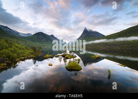 Das Tal Innerdalen - Berg Tal von Norwegen. Sommer Landschaft mit Innerdalsvatna See und der berggipfel von Innerdalstarnet. Reflexion im Spiegel Wasser Stockfoto