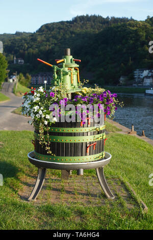 Wein drücken Sie am Moselufer in die Cond Bezirk, Cochem an der Mosel, Mosel, Rheinland-Pfalz, Deutschland Ich Weinpresse am Moselufer im Stadttei Stockfoto