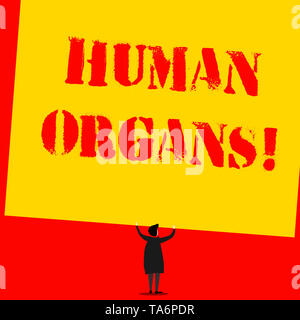 Text Zeichen angezeigt Huanalysis Organe. Business Foto Text der internen genitalen Strukturen des huanalysis Körper Mann steht in Rückansicht unter riesigen emp Stockfoto