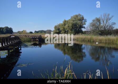 Schönen Herbst See Landschaft im Naturpark Kopački rit, Baranja Stockfoto