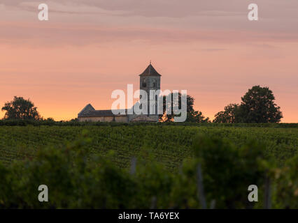 Sonnenuntergang über den Weinbergen von Montagne in der Nähe von Saint Emilion. Gironde, Aquitaine. Frankreich Stockfoto