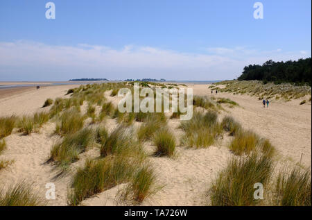 Sanddünen, Wells-next-the-Sea, Norfolk, England Stockfoto