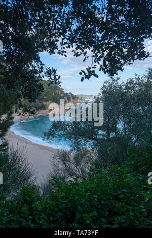 Cala de Sant Francesc in Blanes, Costa Brava, Spanien Stockfoto