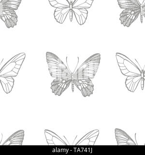 Schmetterlinge Silhouetten. Schmetterling Symbole auf weißem Hintergrund. Grafische Darstellung. Nahtlose Muster Stockfoto