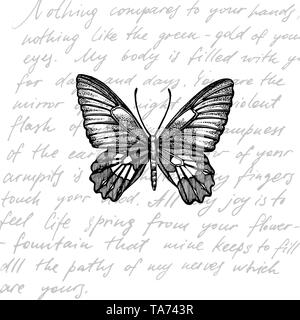 Schmetterlinge Silhouetten. Schmetterling Symbole auf weißem Hintergrund. Grafische Darstellung. Handschriftliche abstrakte Text wallpaper Stockfoto