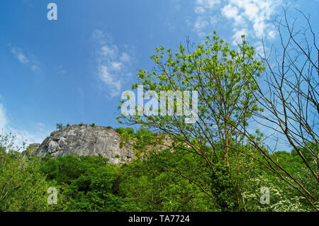 Großbritannien, Derbyshire, Matlock Bath, hohe Tor Stockfoto