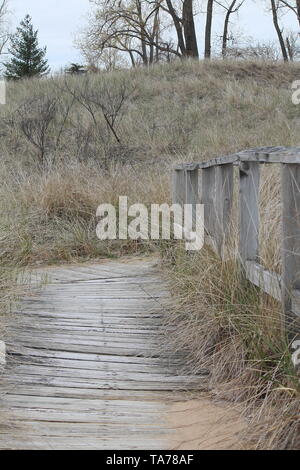 Holz- Pfad durch bewachsene Dünen in Michigan Stockfoto