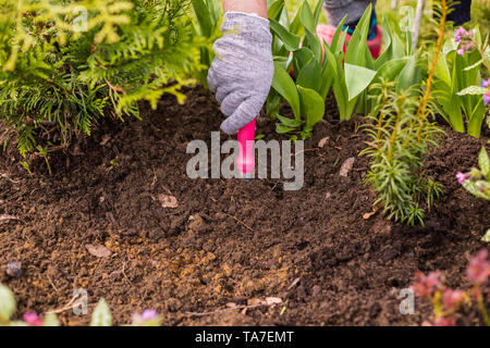 Anzeigen von Hand hacken Unkraut ist eine Frau im Garten an einem heissen Sommertag, jäten Gras, Garten- und Reinigungsarbeiten im Garten im Frühling Boden Stockfoto